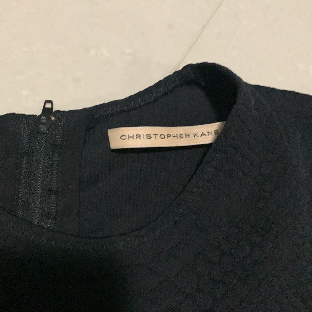 Christopher Kane Black And Navy Python Dress - image 6